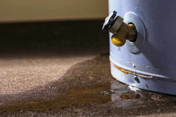 Best Sewage cleanup and water damage restoration  in Holloman Af, NM
