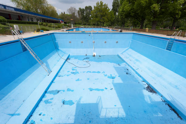Best Water damage restoration near me  in Holloman Af, NM