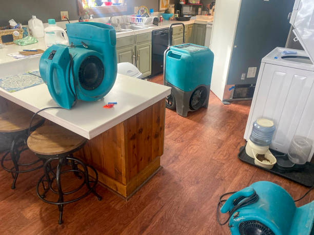 Best Fire Damage Restoration  in Holloman Af, NM