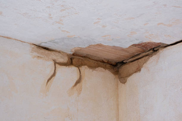 Reliable Holloman Af, NM Water damage restoration Solutions