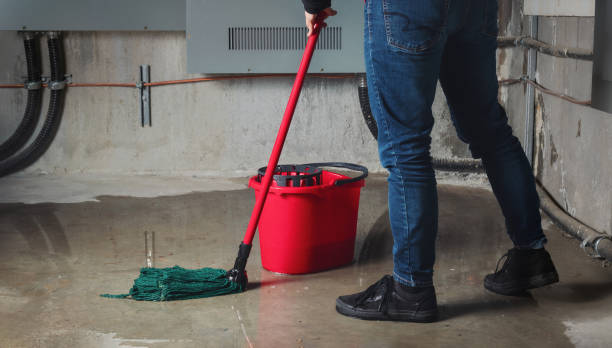Best 24/7 water damage repair  in Holloman Af, NM