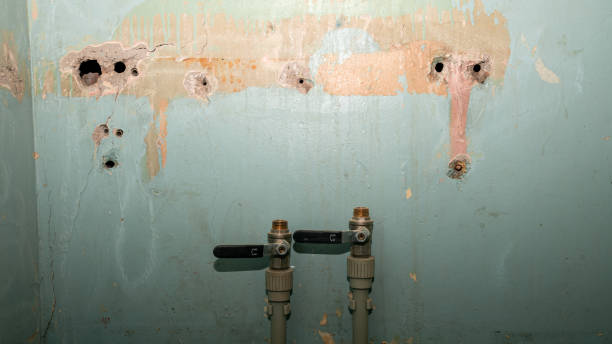 Best Mold removal after water damage  in Holloman Af, NM