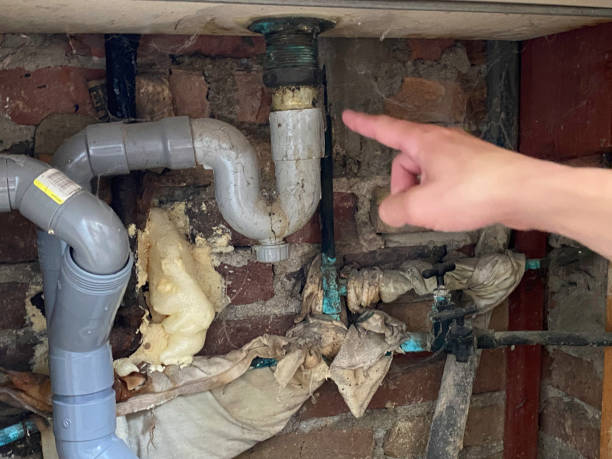 Best Water damage restoration mold remediation  in Holloman Af, NM