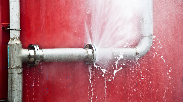 Best Water damage cleanup near me  in Holloman Af, NM