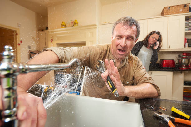 Best Water damage restoration experts  in Holloman Af, NM